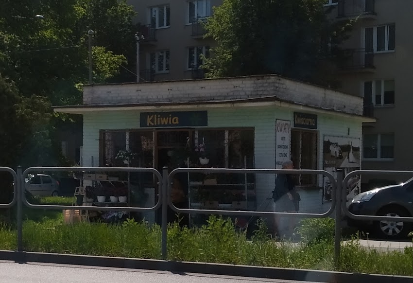 Kliwia. Kwiaciarnia. Wojtysek A.
