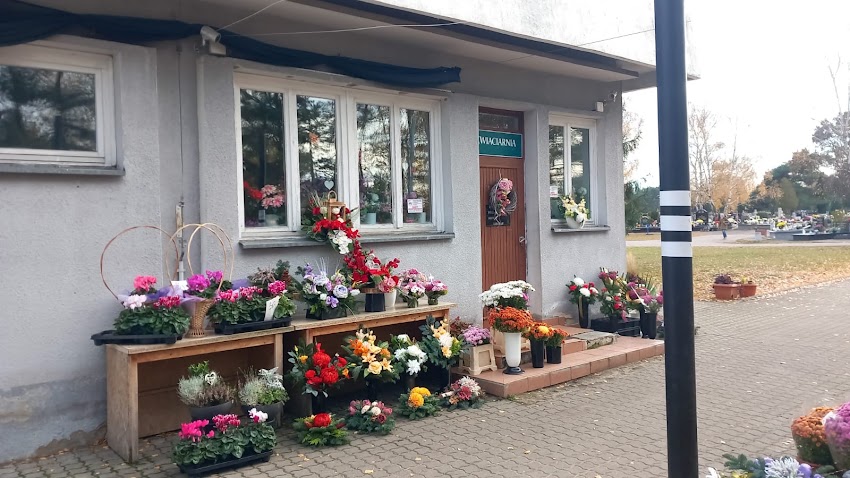 Kwiaciarnia Zieleń Miejska Bydgoszcz Fordon