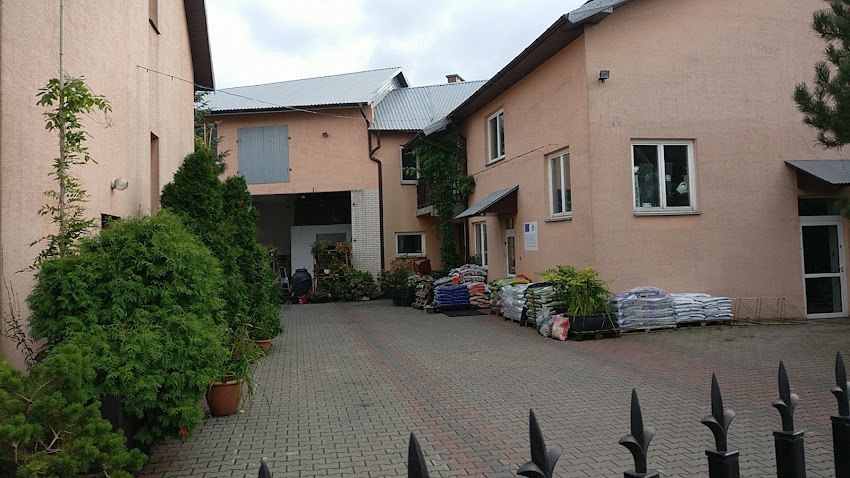 Anna. Kwiaciarnia. Mainusz P.