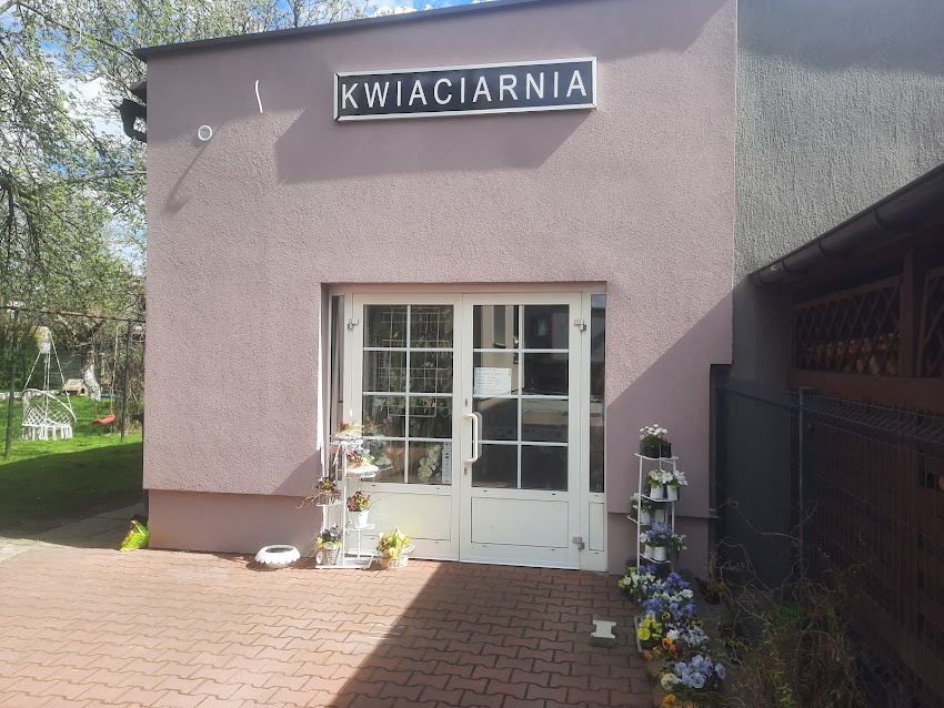 kwiaciarnia kolorowy motyl,BALONY Z HELEM