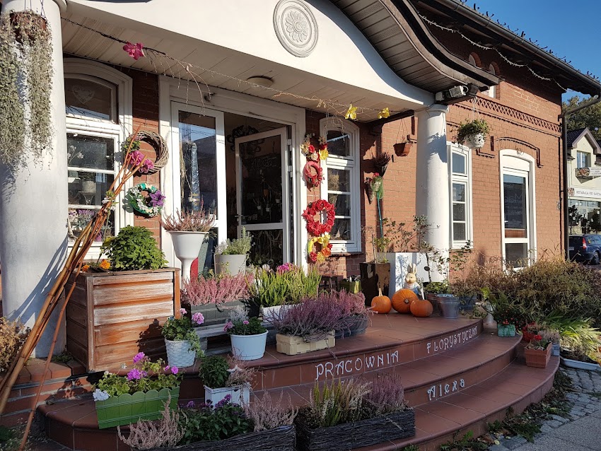 Pracownia Florystyczna Alexa Flowers & Decorations Kwiaty Gdańsk