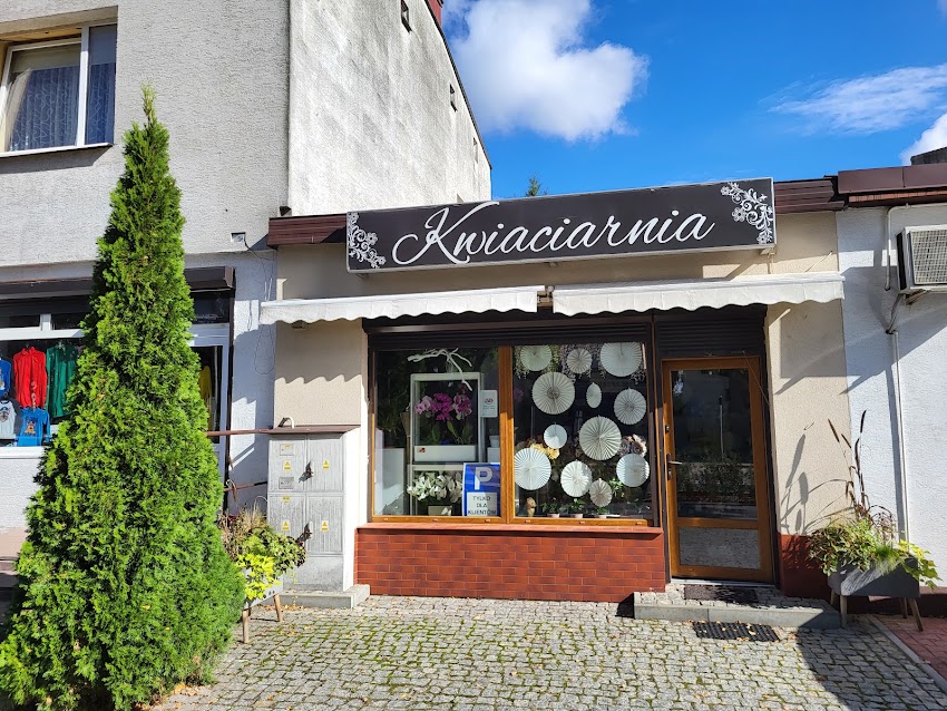 Kwiaciarnia Green Trick Kwiaty & Zieleń Katarzyna Kozłowska
