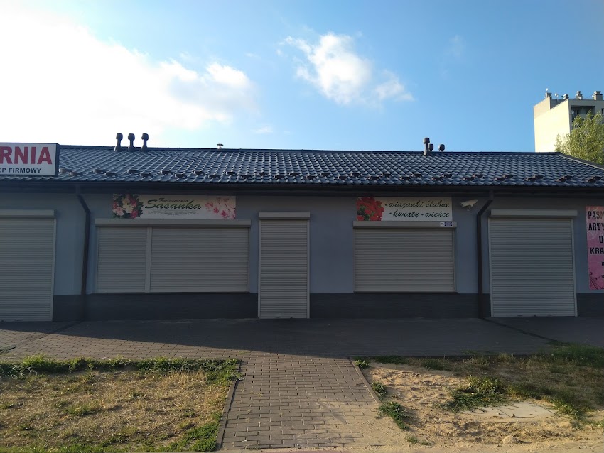 Sasanka. Kwiaciarnia.
