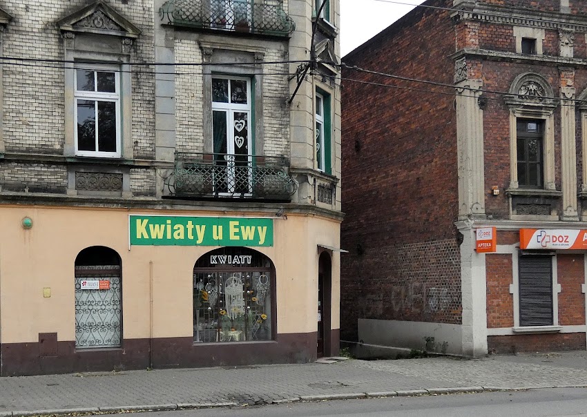 Kwiaty U Ewy