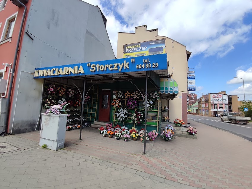 Kwiaciarnia Storczyk