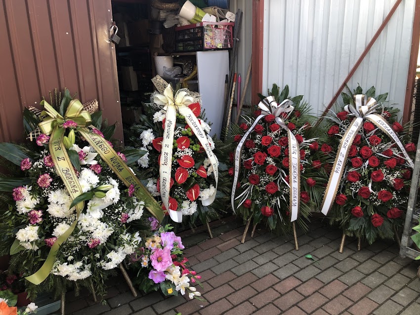 Azalia. Kwiaciarnia. Krupińska A.