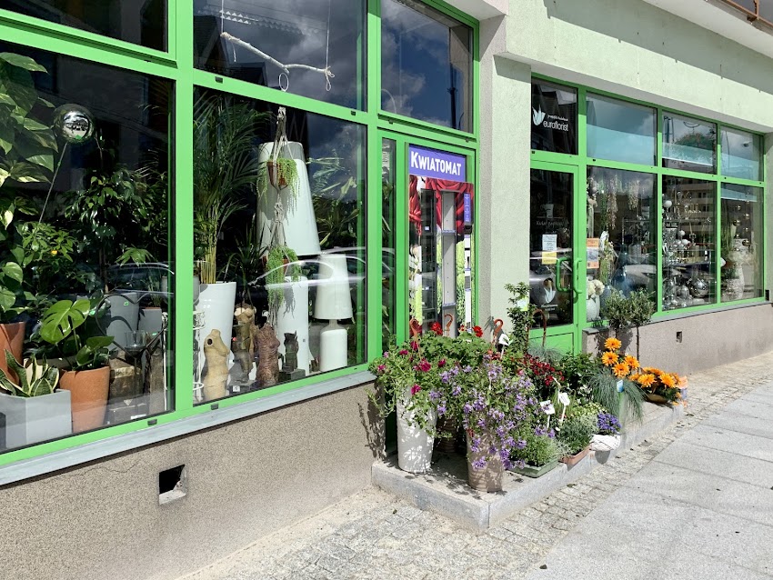 Kwiaciarnia Kwiat Paproci Angelika Kilarecka Nysa Rynek