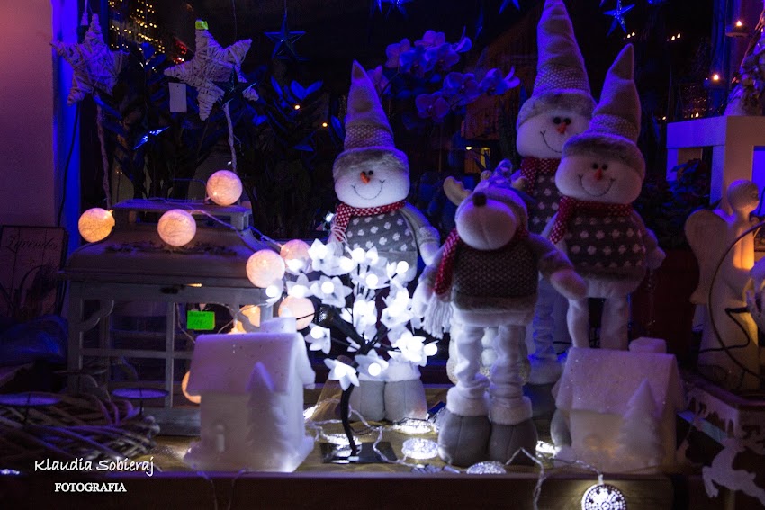 Galeria Ogrodnicza LAWENDA PH TOBLUX