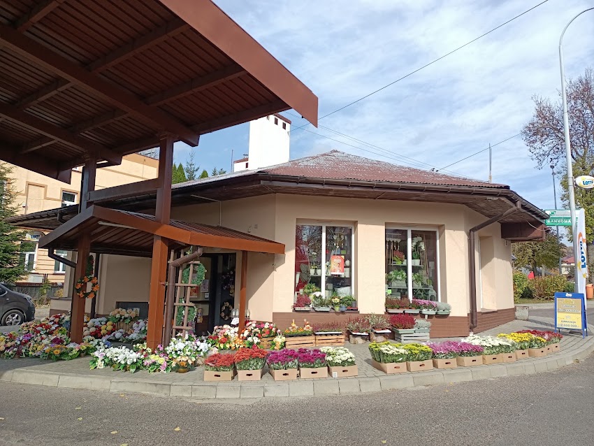 „Malwa” Kwiaciarnia Agata Pinda