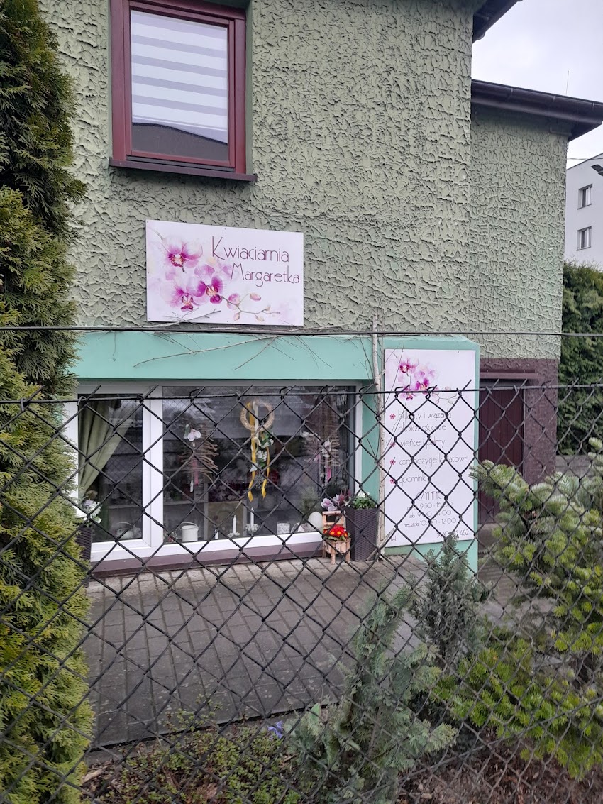 Margaretka. Kwiaciarnia