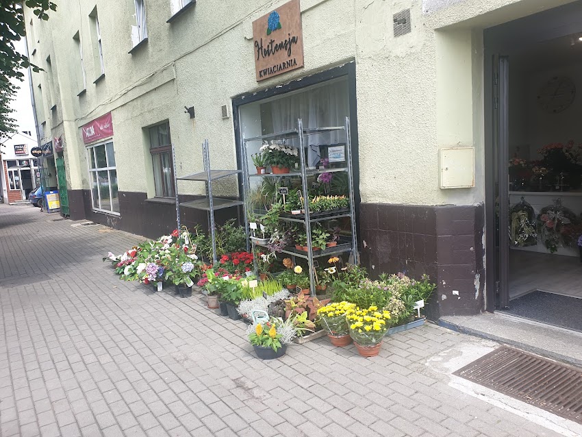 Kwiaciarnia Hortensja
