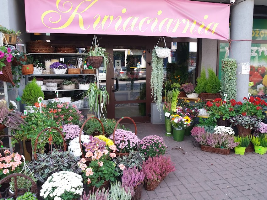 Kwiaciarnia Złota Róża