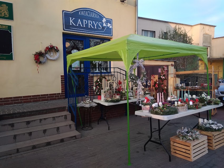 Kwiaciarnia Kaprys Opole Agata Motyka