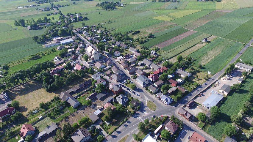 Kos Jadwiga. Kwiaciarnia