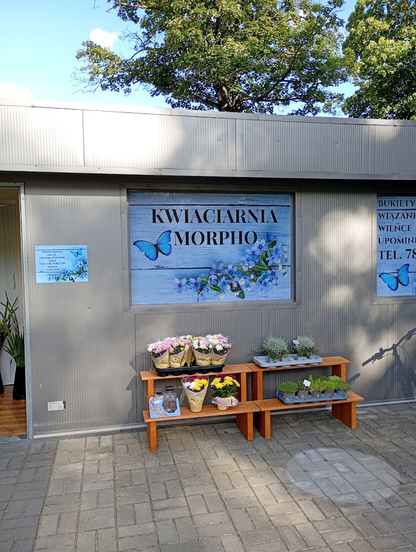 Kwiaciarnia MORPHO