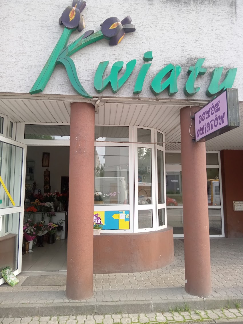 Irys. Kwiaciarnia