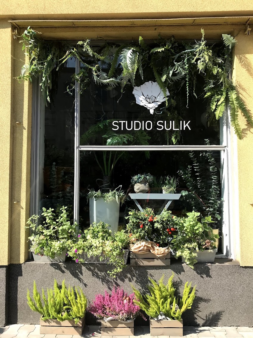 STUDIO SULIK