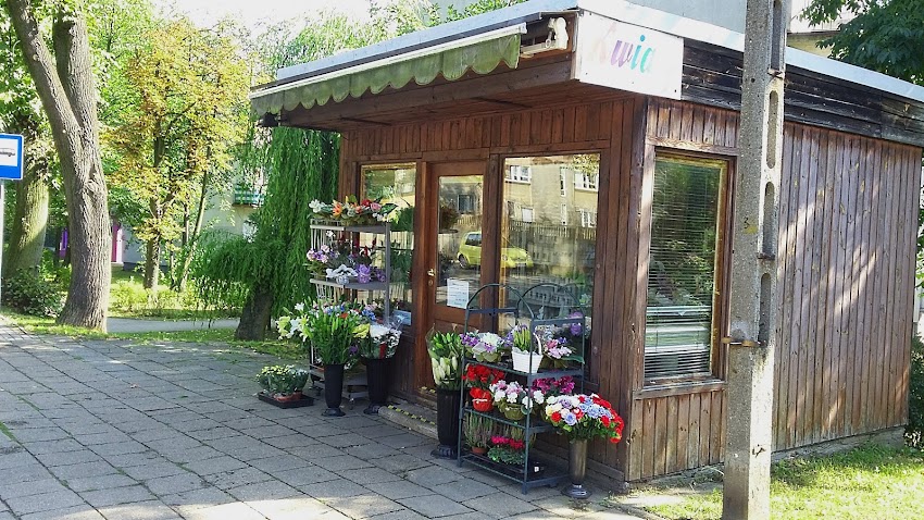 Kwiaciarnia Ewa Małota