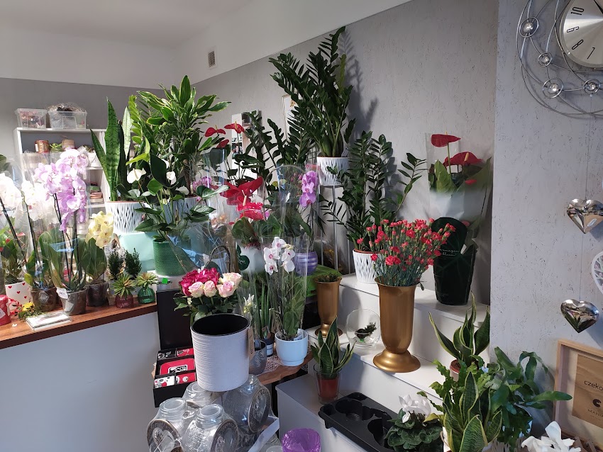 Kwiaciarnia Orchidea Elżbieta Błażejewska