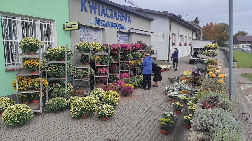 Kwiaciarnia Niezapominajka