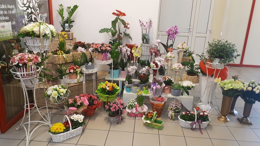 Kwiaciarnia Aneta Rączka