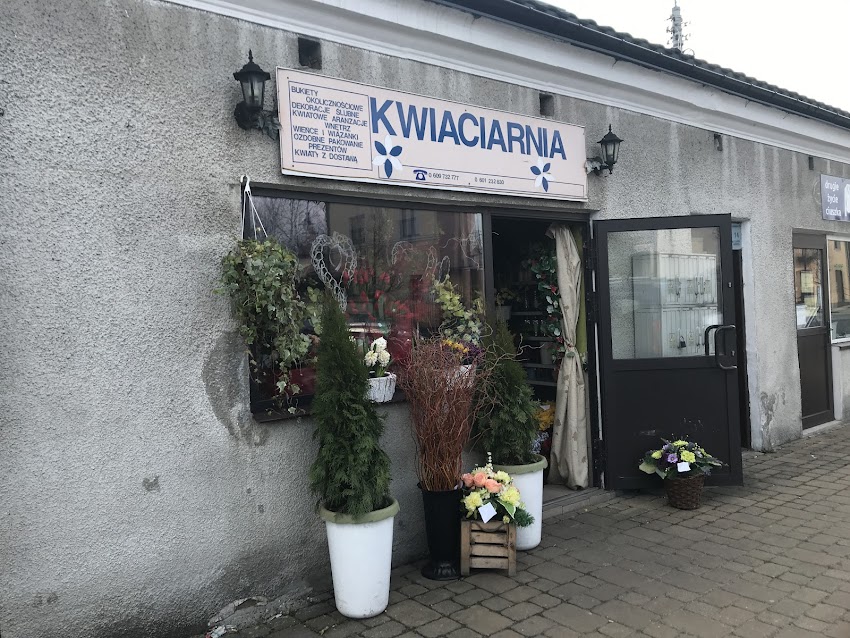 Laskowska E. Kwiaciarnia