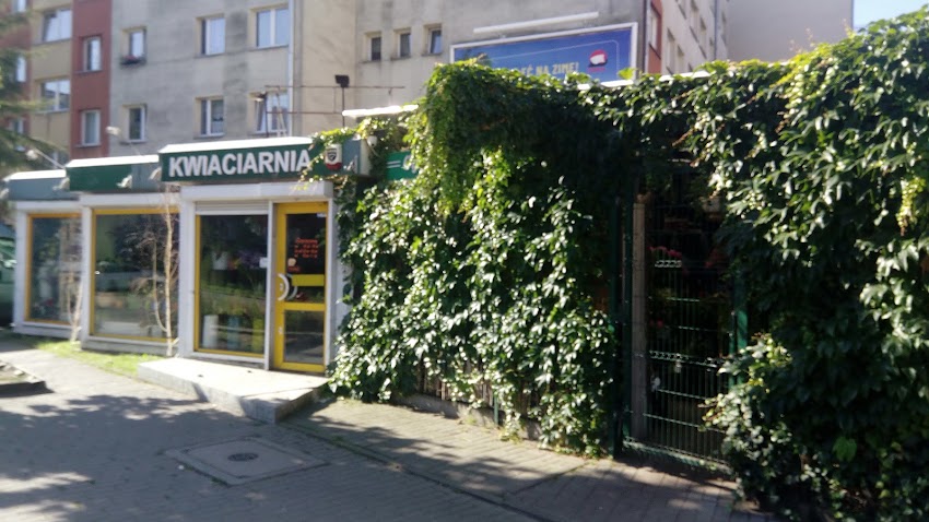 Kwiaciarnia „Anna”