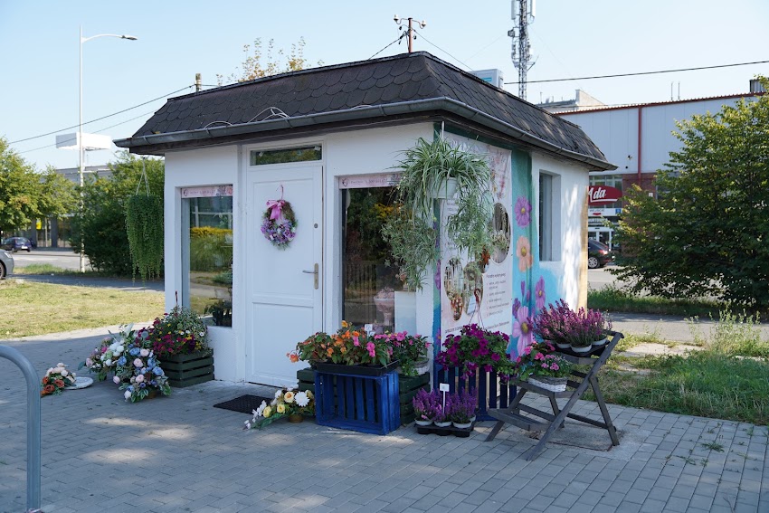Davi-Deco Florystyka Ślubna