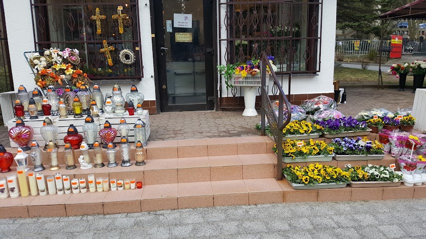 Kwiaciarnia Sasanka