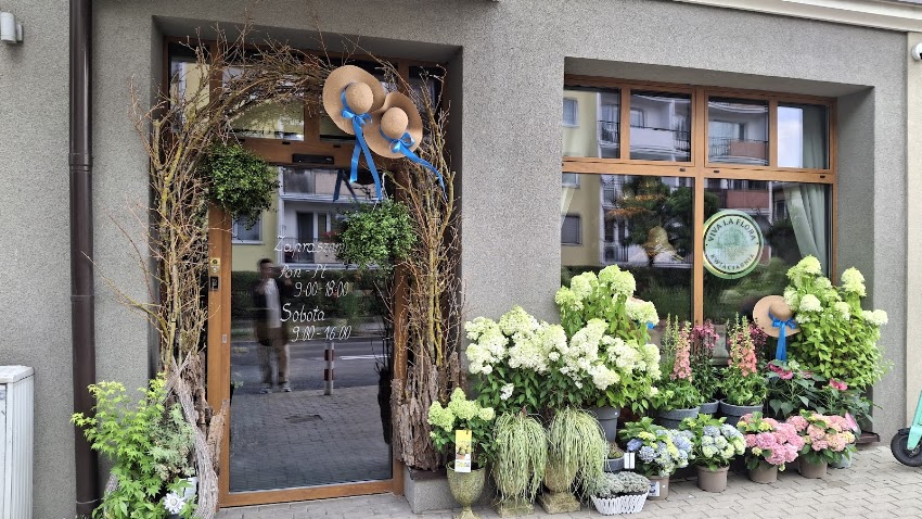 Viva la flora kwiaciarnia Marcin Wańka