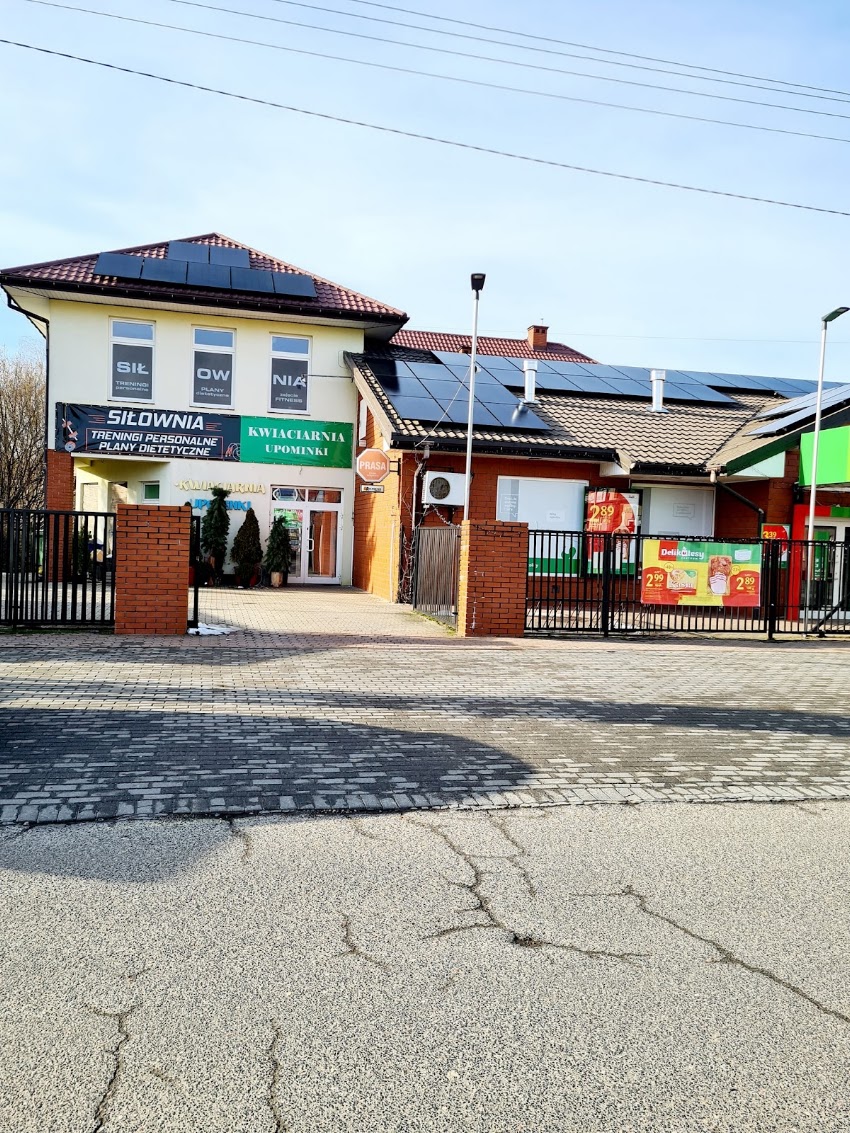 Kwiaciarnia Zielony Świat Monika Kamińska