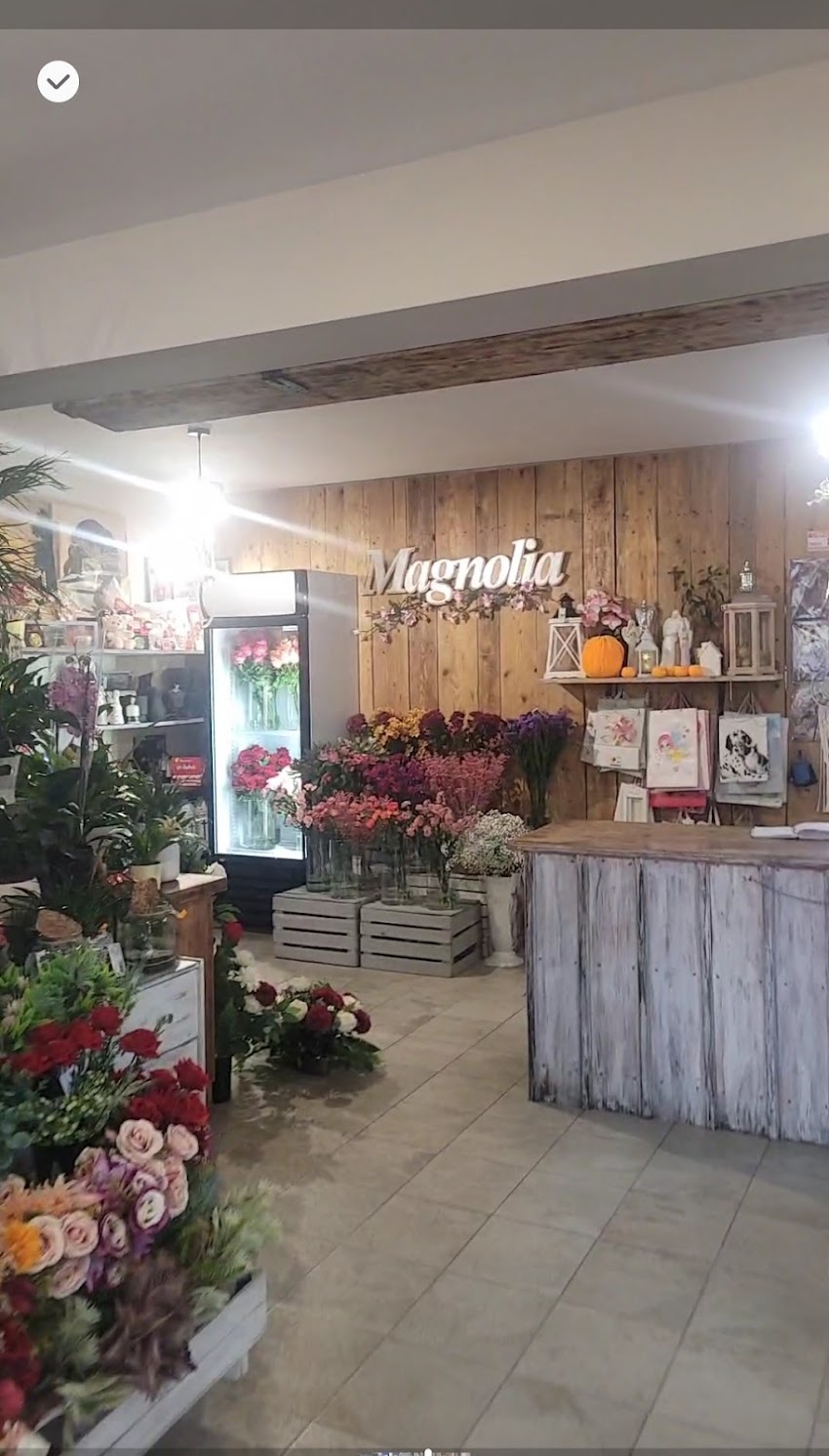 F.H.U. Magnolia