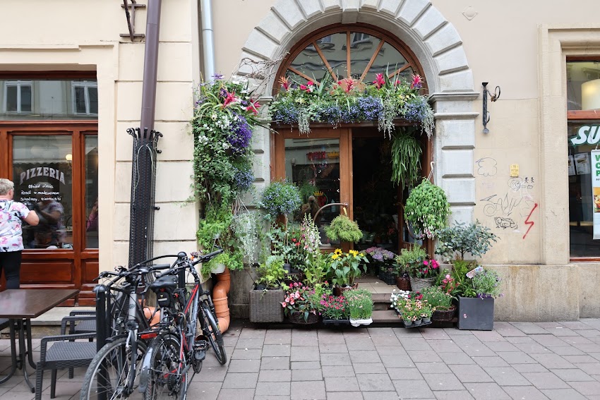 Floristica