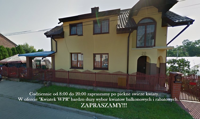 Kwiaty balkonowe i rabatowe „Kwiatek” WPR