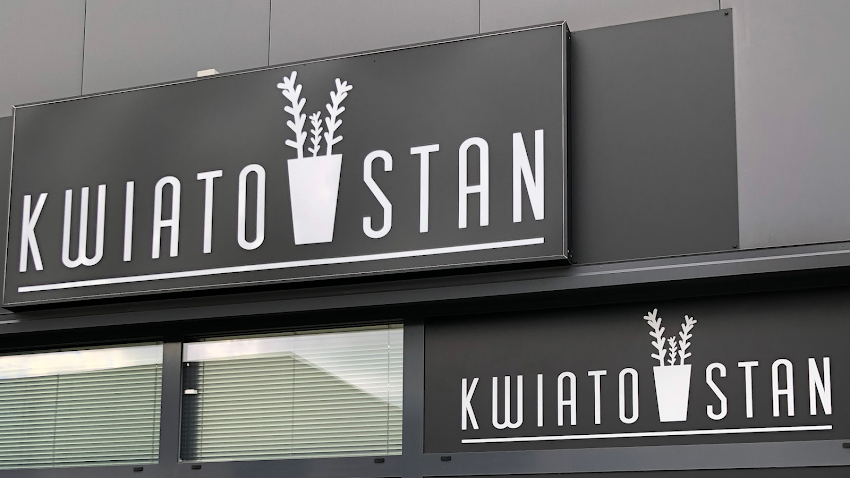 Kwiatostan
