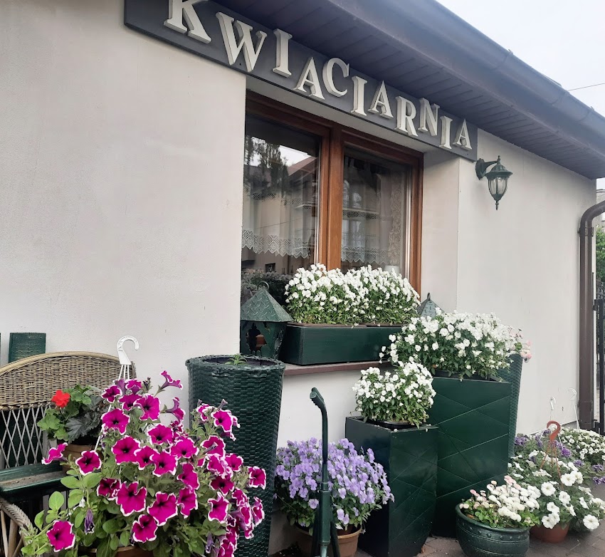 KWIACIARNIA U MARYSI
