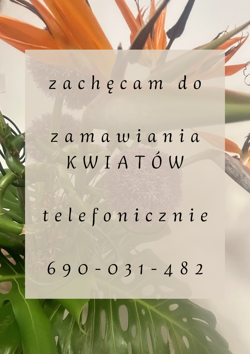 Kwiaciarnia Knurów