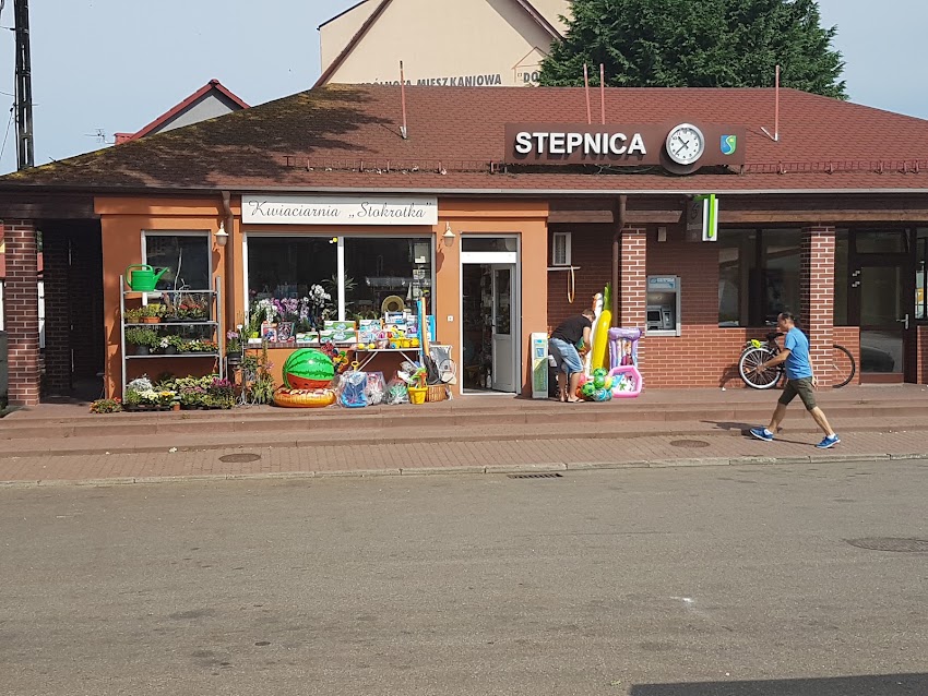 Stokrotka. Kwiaciarnia