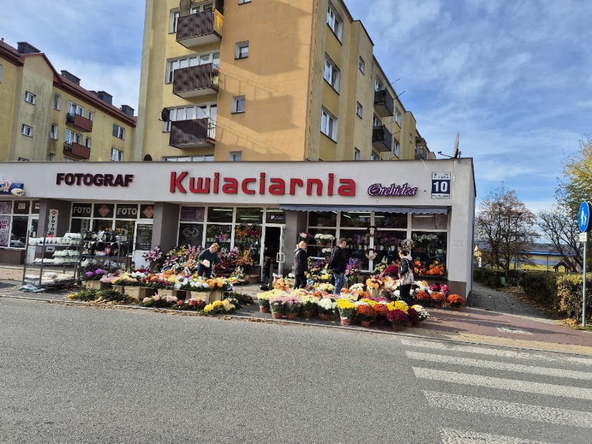 Kwiaciarnia Orchidea
