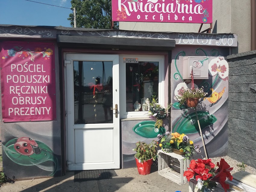 Kwiaciarnia Orchidea