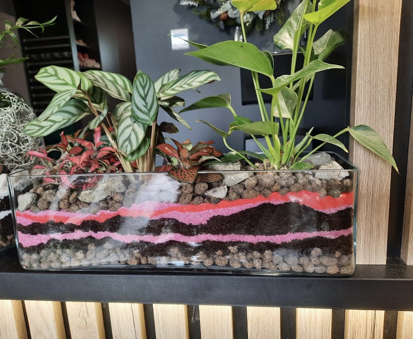 K-Flora Kwiaciarnia Bytom | Pracownia Florystyczna – K-FLORA