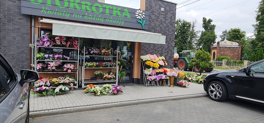 Kwiaciarnia „Stokrotka”