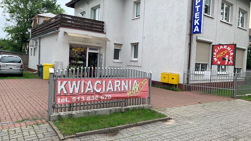 Kwiaciarnia HYZOP Szwederowo