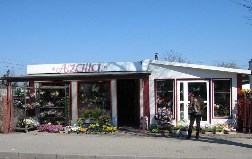 Kwiaciarnia Azalia
