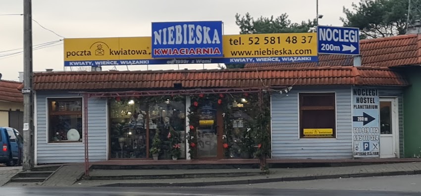 Kwiaciarnia Niebieska