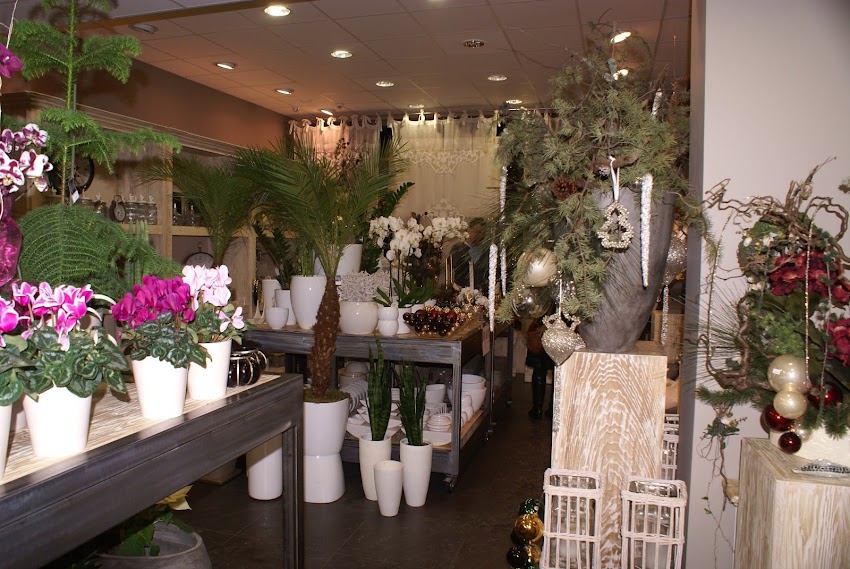 Home Design Flowers Iwona Gregiel