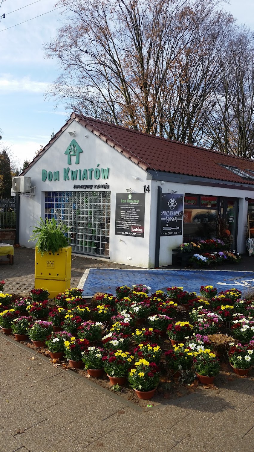 Dom Kwiatów – Kwiaciarnia | Kwiaty | Bukiet Kwiatów | Glovo – door to door & Poczta Kwiatowa. Opieka nad grobami