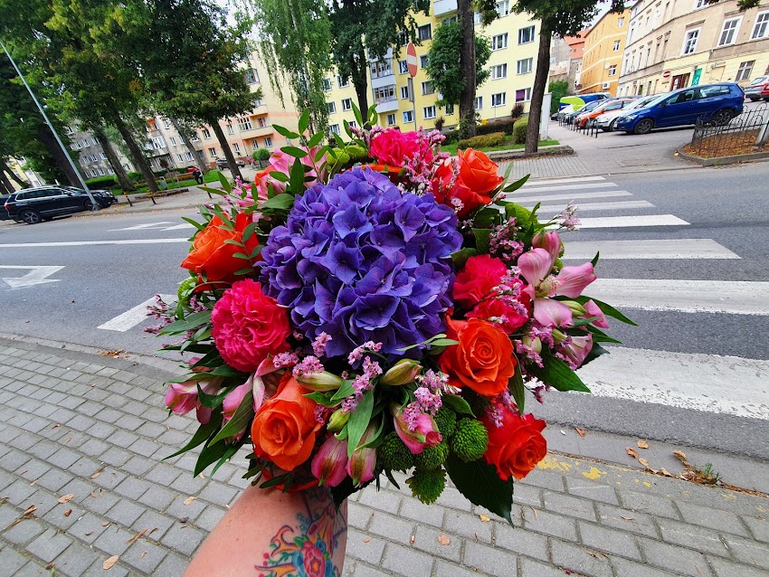 Rosa. FHU. Waszczak D.