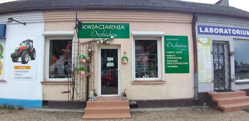 Kwiaciarnia Orchidea