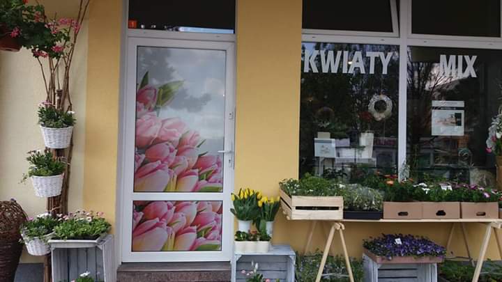 Kwiaty-Mix. Zielińska A.